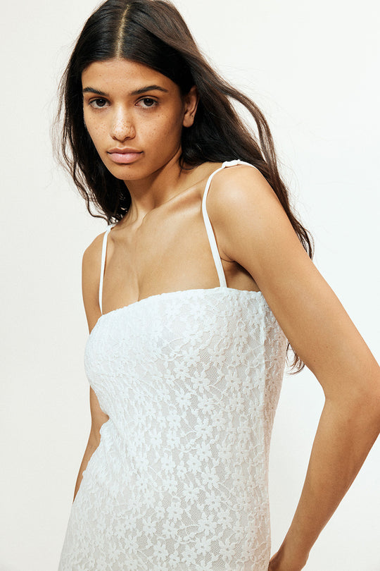 licata lace dress