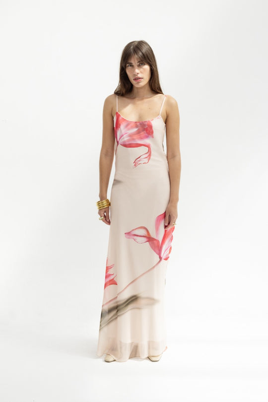 printed maxi dress avina